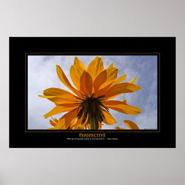 Perspektiv Poster (Framsidan)