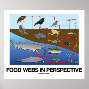 Perspektiva Websar för livsmedel (havs-/markbiolog Poster