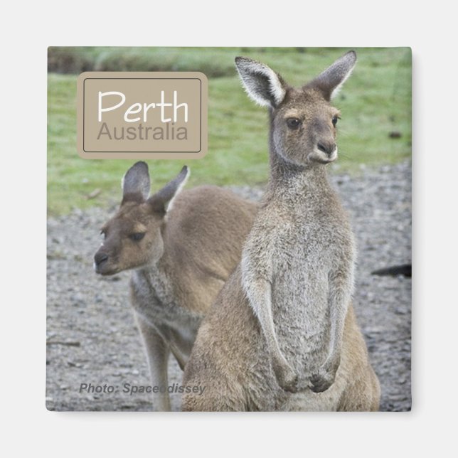 Perth Australia Kangaroo Travel Fridge Magnets Magnet (Framsidan)