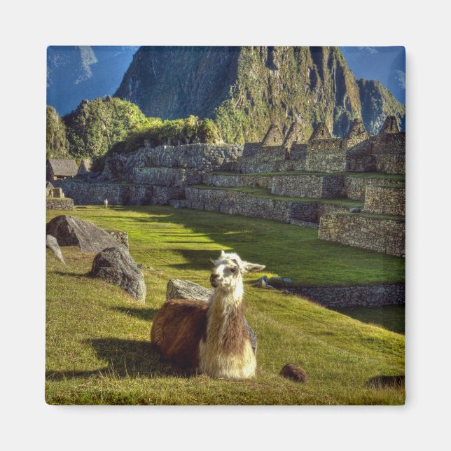 Peru, Anderna, Anderna berg, Machu Picchu Magnet (Framsidan)