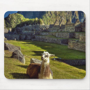 Peru, Anderna, Anderna bergskedja, Machu Picchu Musmatta