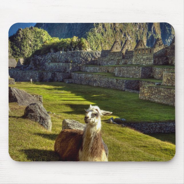 Peru, Anderna, Anderna bergskedja, Machu Picchu Musmatta (Framsidan)