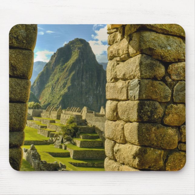 Peru, Anderna, Anderna bergskedja, Machu Picchu, Musmatta (Framsidan)