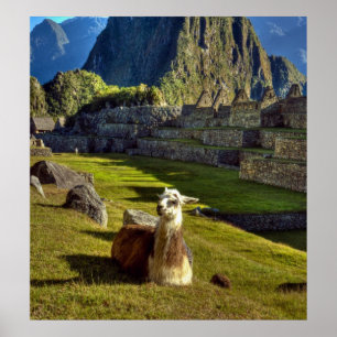 Peru, Anderna, Anderna bergskedja, Machu Picchu Poster