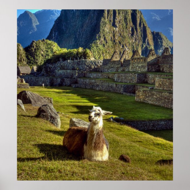Peru, Anderna, Anderna bergskedja, Machu Picchu Poster (Framsidan)