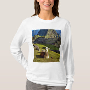 Peru, Anderna, Anderna bergskedja, Machu Picchu Tee
