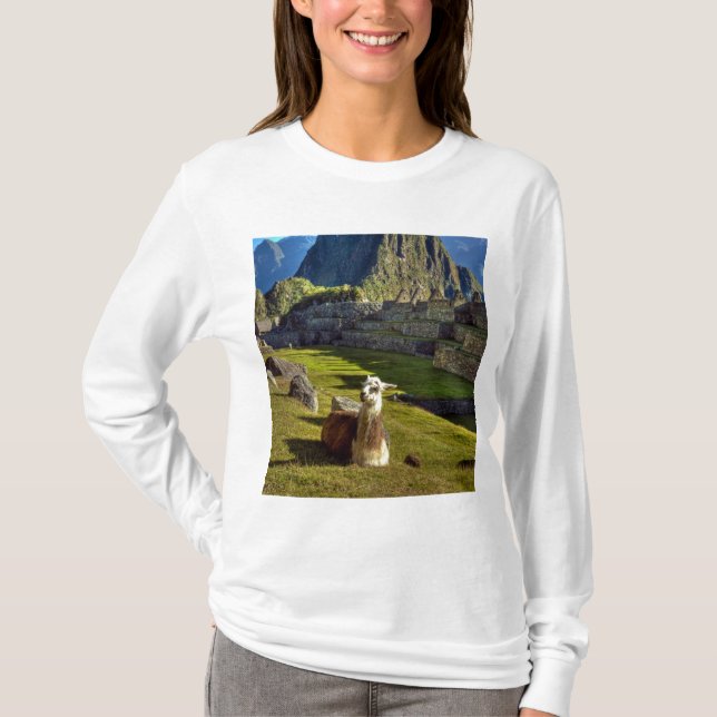 Peru, Anderna, Anderna bergskedja, Machu Picchu Tee (Framsida)