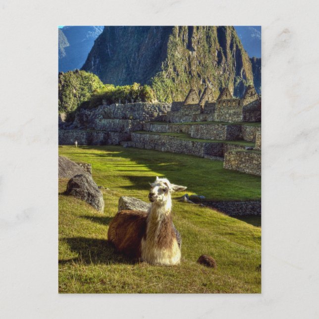 Peru, Anderna, Anderna bergskedja, Machu Picchu Vykort (Framsida)