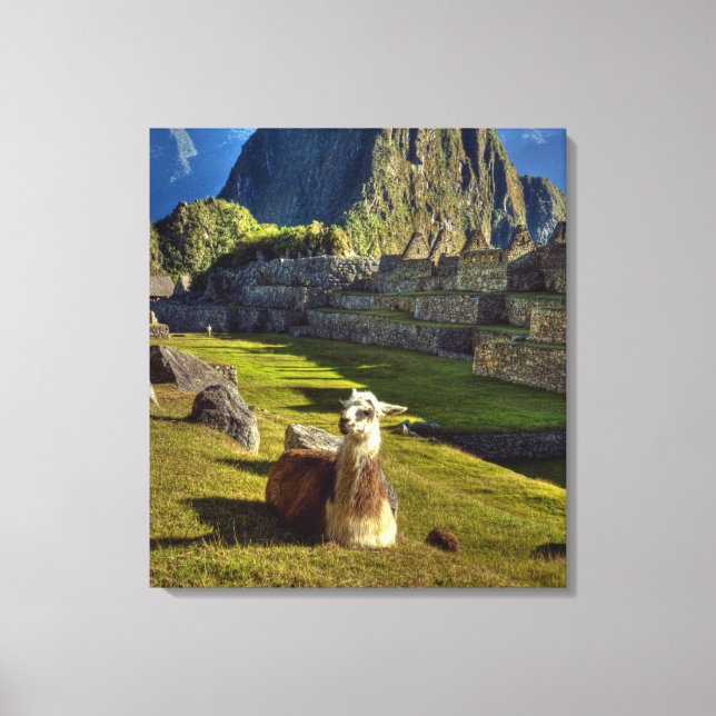 Peru, Anderna, Anderna, Machu Picchu, Canvastryck (Framsida)
