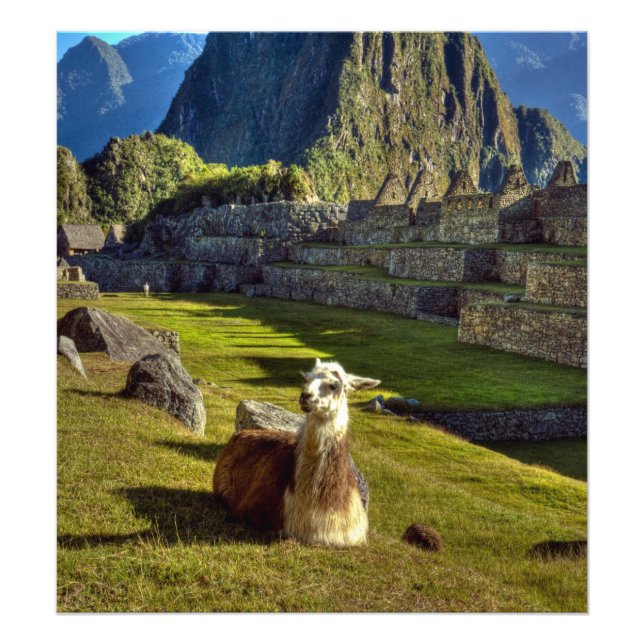 Peru, Andes, Andes Mountain, Machu Picchu Fototryck (Framsidan)