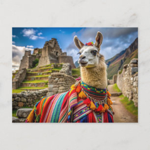 Peru Lama Vykort