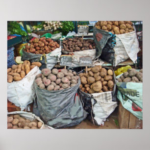 Peru-Land för potatis Poster