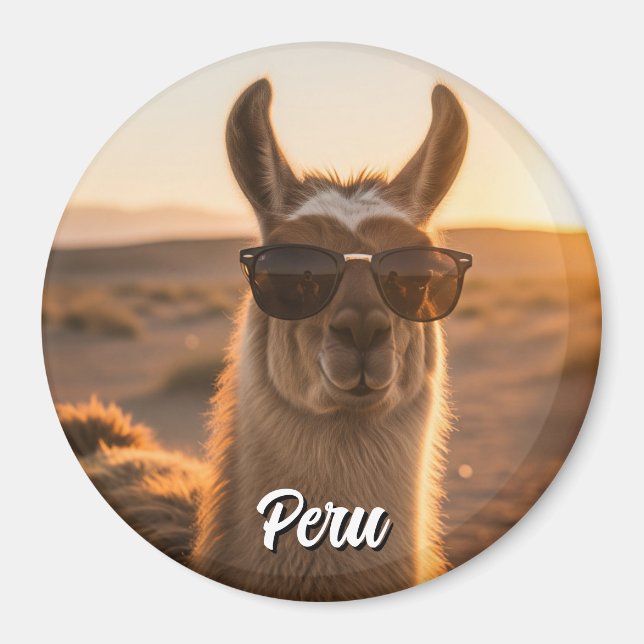 Peru Llama i solglasögon Magnet (Framsidan)