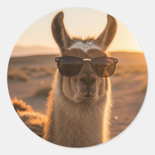 Peru Llama i solglasögon Runt Klistermärke