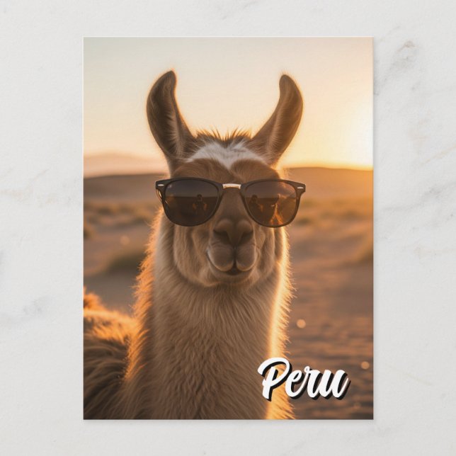 Peru Llama i solglasögon Vykort (Framsida)