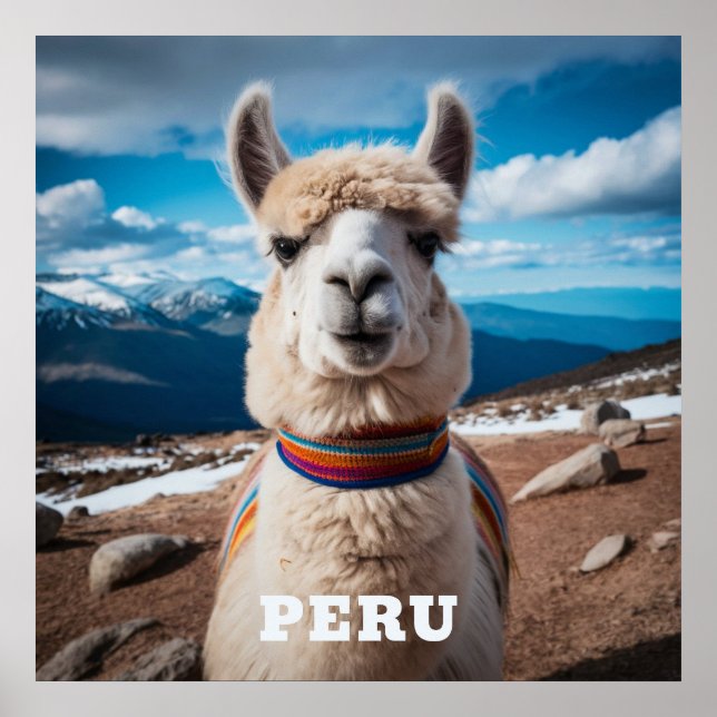 Peru Llama Poster (Framsidan)