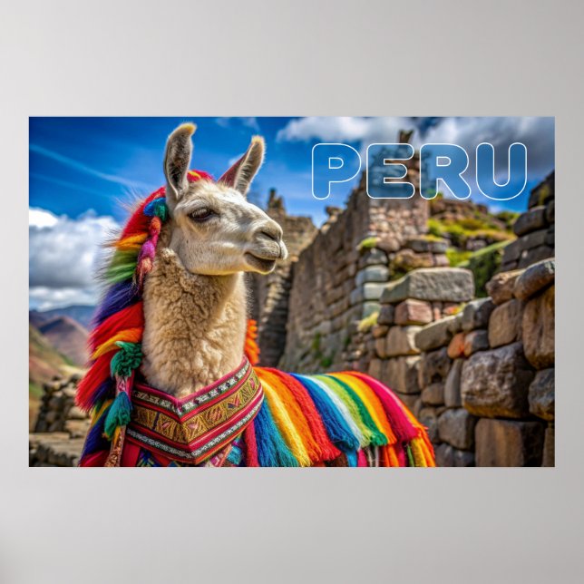 Peru Llama Poster (Framsidan)