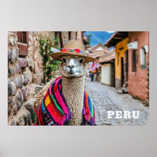 Peru Llama Poster (Framsidan)