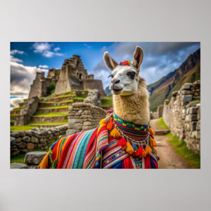Peru Llama Poster