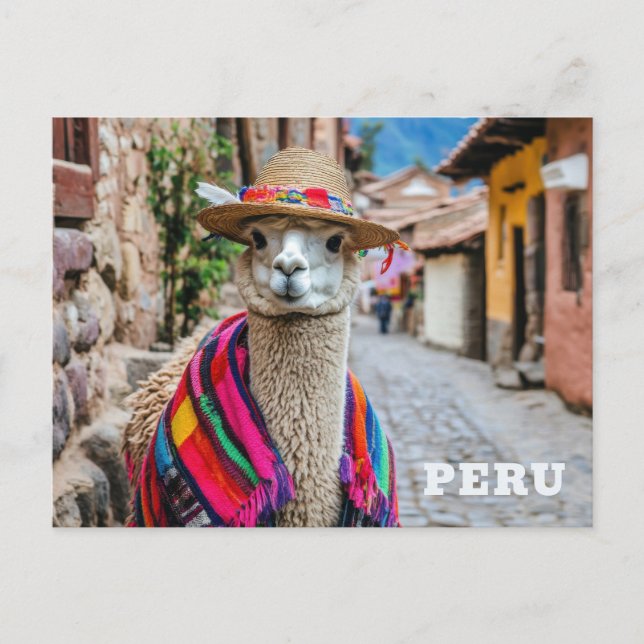 Peru Llama Vykort (Framsida)