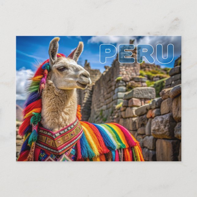 Peru Llama Vykort (Framsida)