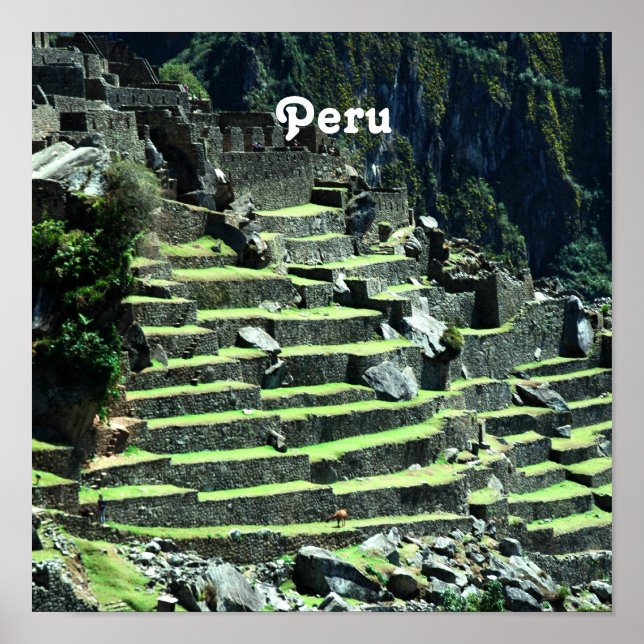 Peru Ruins Poster (Framsidan)