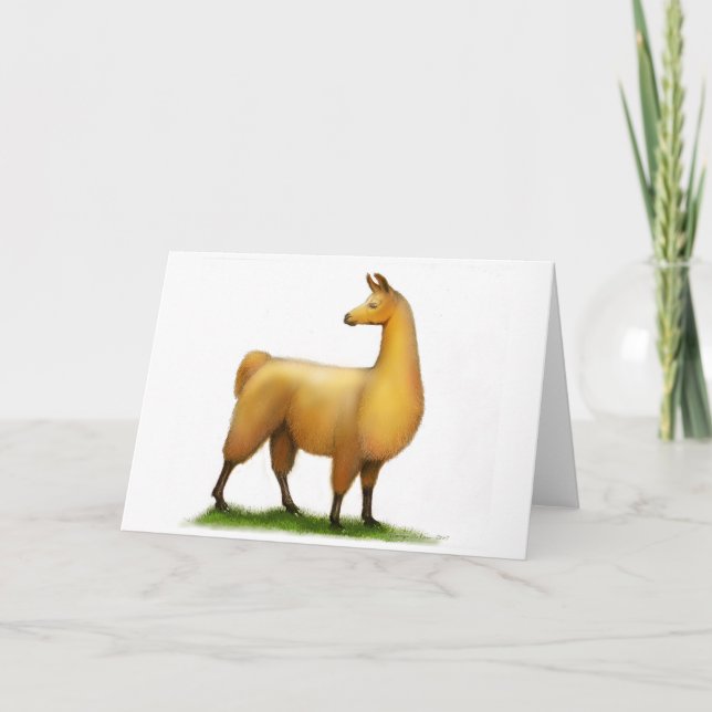 Peruansk Llama Kort (Framsida)