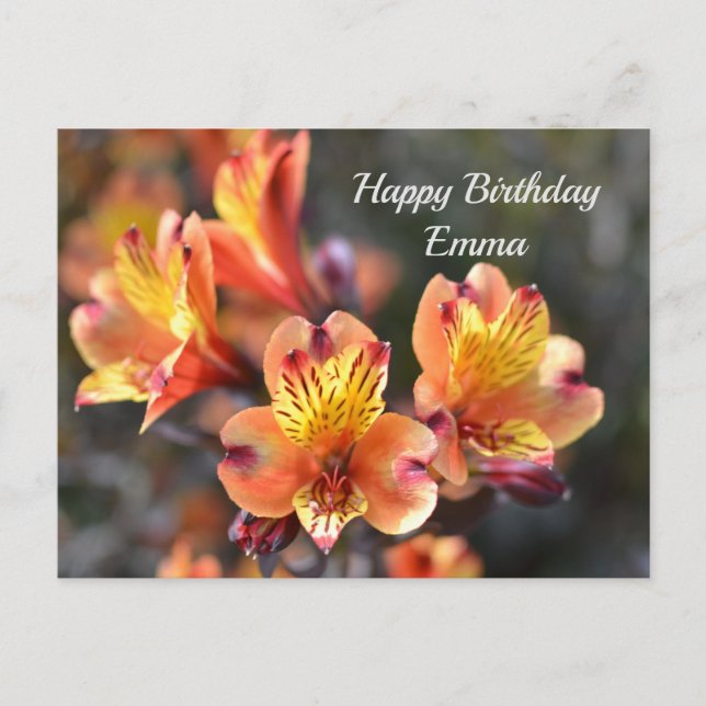 Peruanska liljeblomster på RHS Garden Wisley Vykort (Framsida)