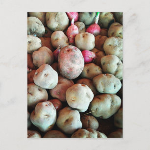 Peruanska potatis vykort