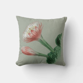 Peruvian Apple Kudde