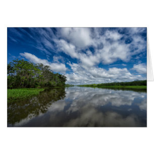 Peruvian Jungle Refltions Hälsningskort