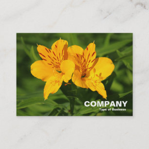 Peruvian Lilies Visitkort