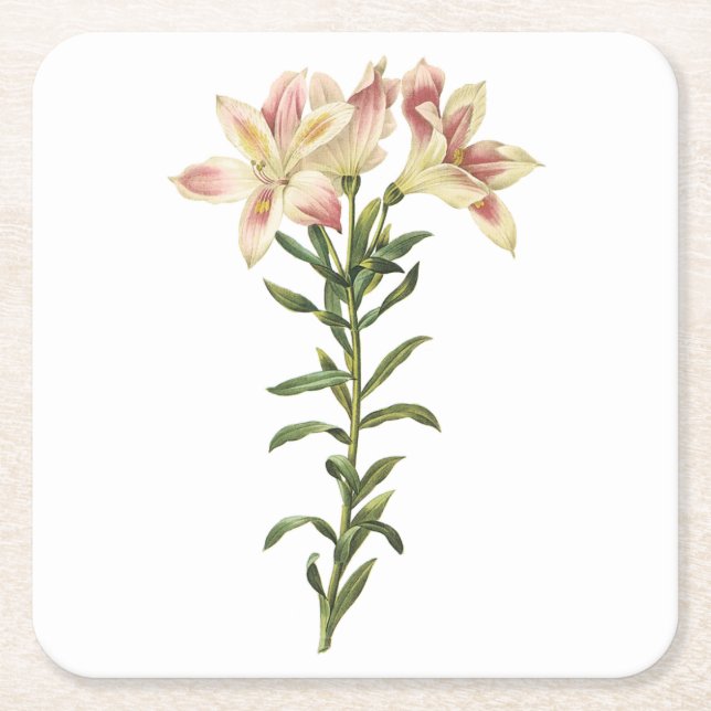 Peruvian lily (Alstromeria pelegrina) från Redouté Underlägg Papper Kvadrat (Framsidan)