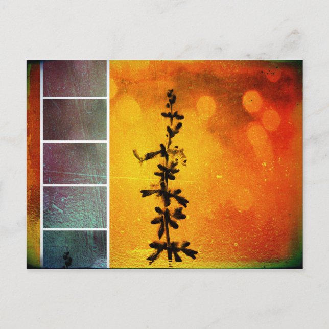 Pervoskia Collage Aflame-vykort Vykort (Framsida)