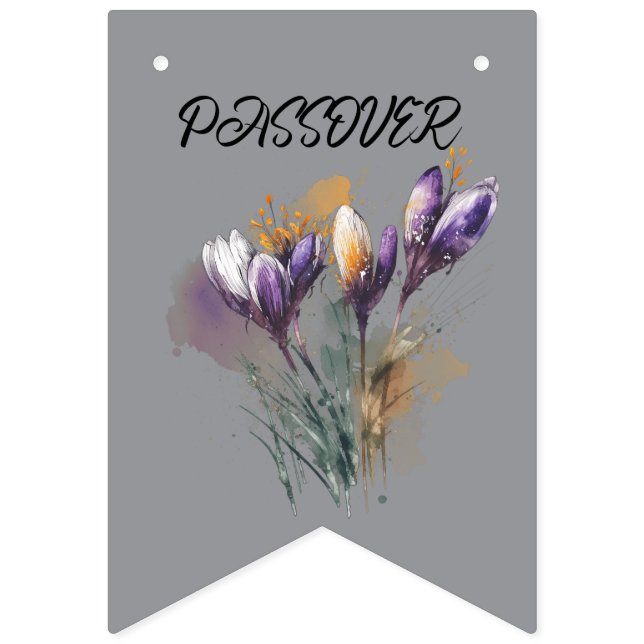 "Pesach"-girlangbanner Vimplar (Första flaggan)