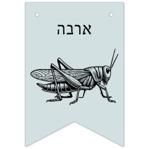 Pesach Plagues for Seder Vimplar