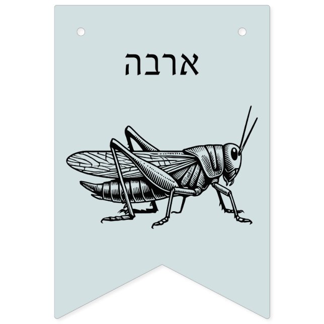 Pesach Plagues for Seder Vimplar (Elfte flaggan)