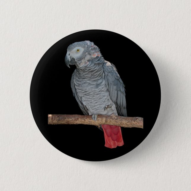 Pesky Parrot Badge Knapp (Framsida)