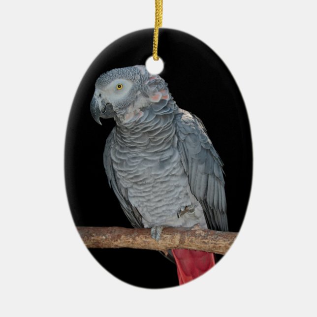 Pesky Parrot Ornament (Framsidan)