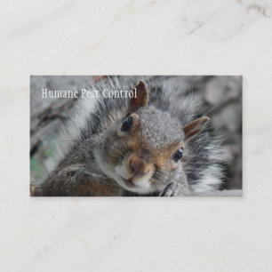 Pesky Squirrel Visitkort