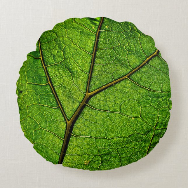 Pestilensbuske blad blad ådror gröna rund kudde (Framsidan)