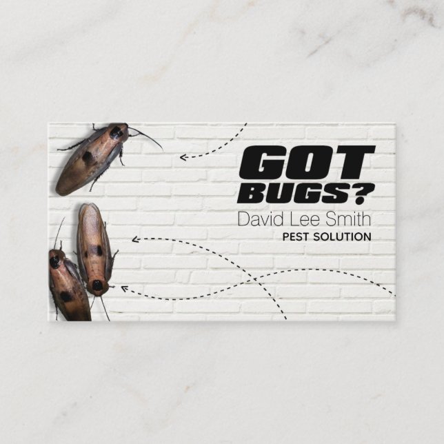 Pestlösning Visitkort (Framsida)