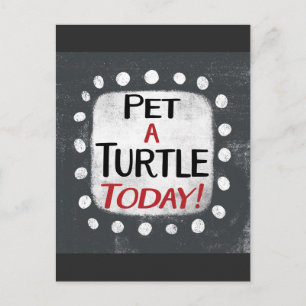 Pet A Turtle Today-vykort Vykort