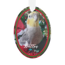 Pet Acrylic jul Ornament Bird Anpassade