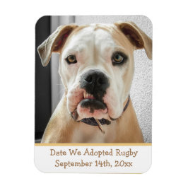 Pet Adoption Reminder Photo Magnet