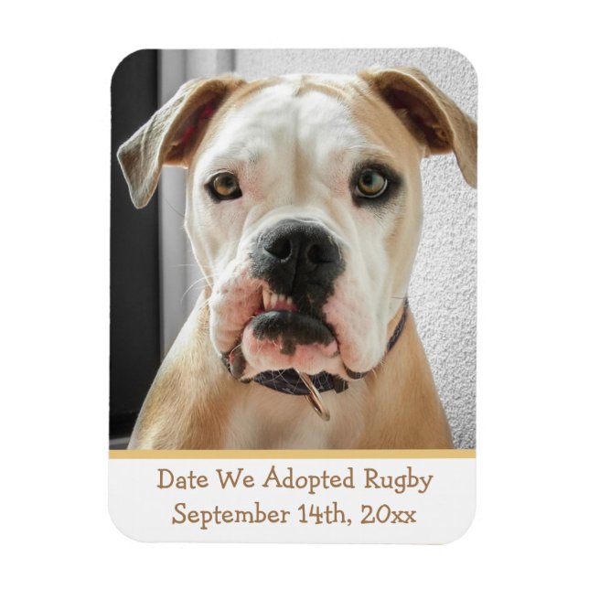 Pet Adoption Reminder Photo Magnet (Vertikal)