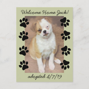 Pet-adoption Spara datumfoto med Tass avtryck Meddelande Vykort