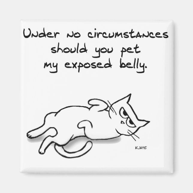 Pet aldrig Cat Belly - Funny Cat Fridge Magnet (Framsidan)