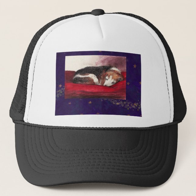 PET--BEAGLEHATT TRUCKERKEPS (Framsida)