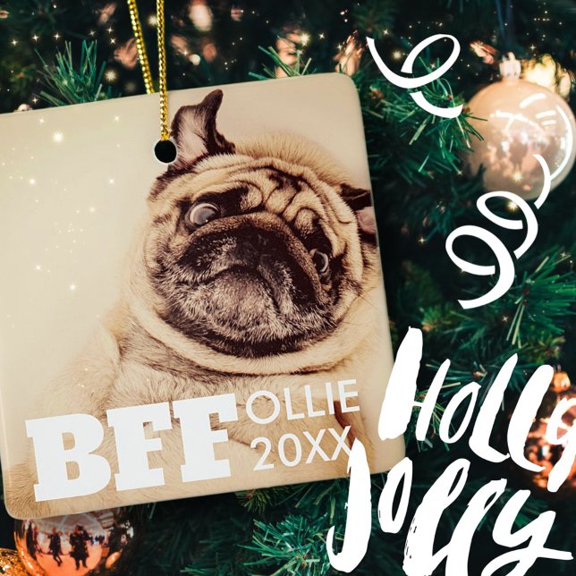 Pet Best Friends for Simple Modern Photo Julgransprydnad Keramik (Skapare uppladdad)